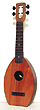 Mahogany Flea